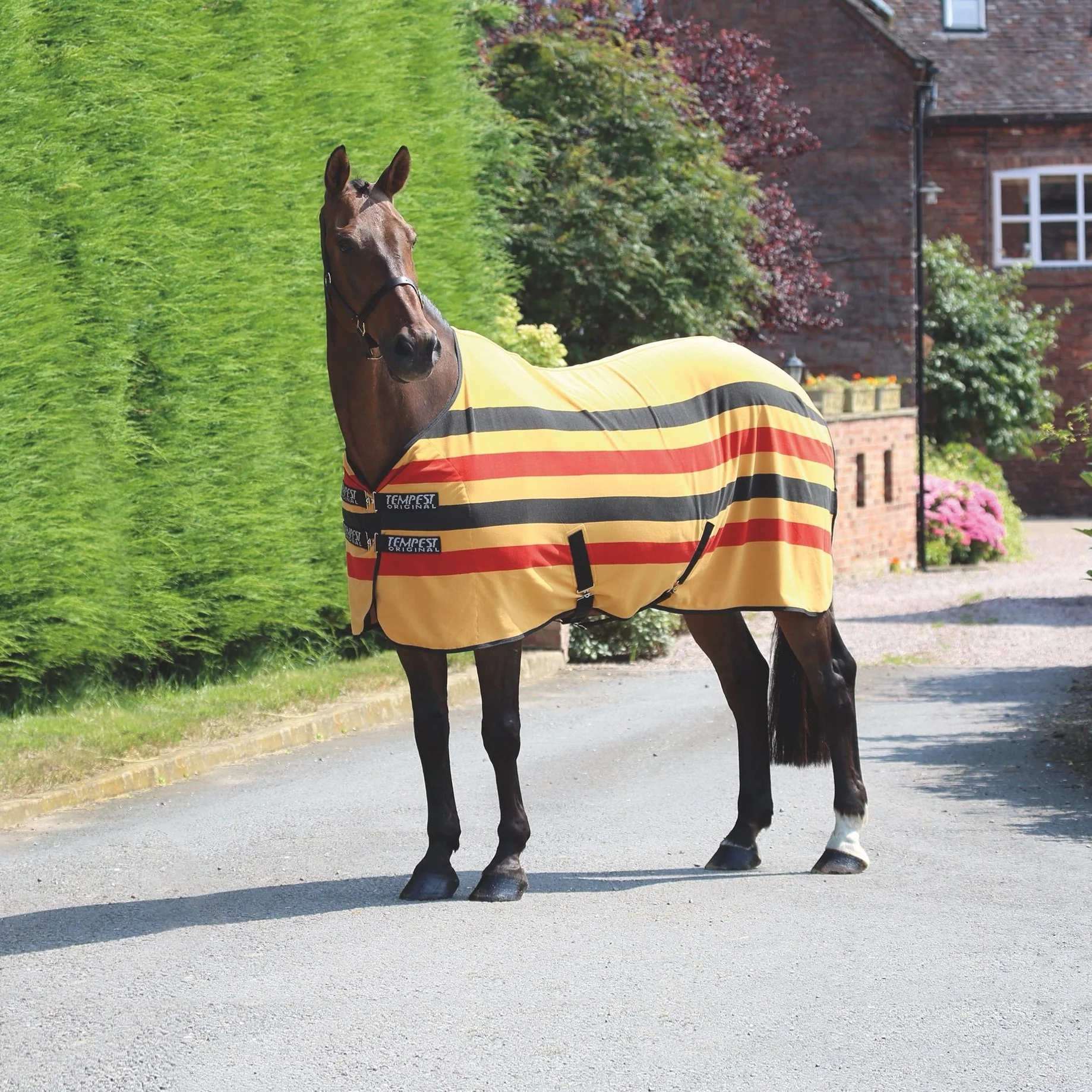 Tempest Original Newmarket Fleece Rug - Image 4