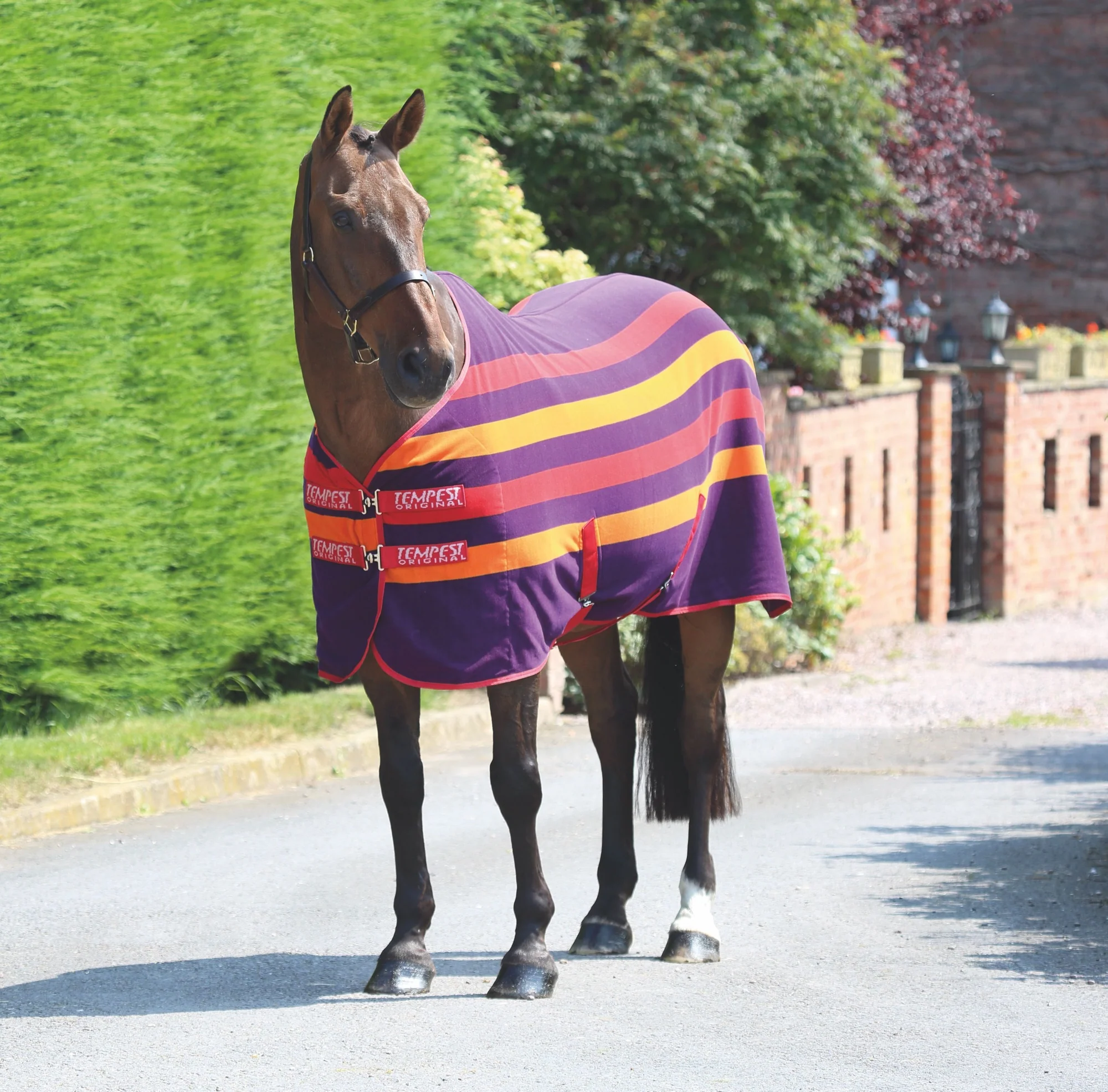 Tempest Original Newmarket Fleece Rug - Image 5