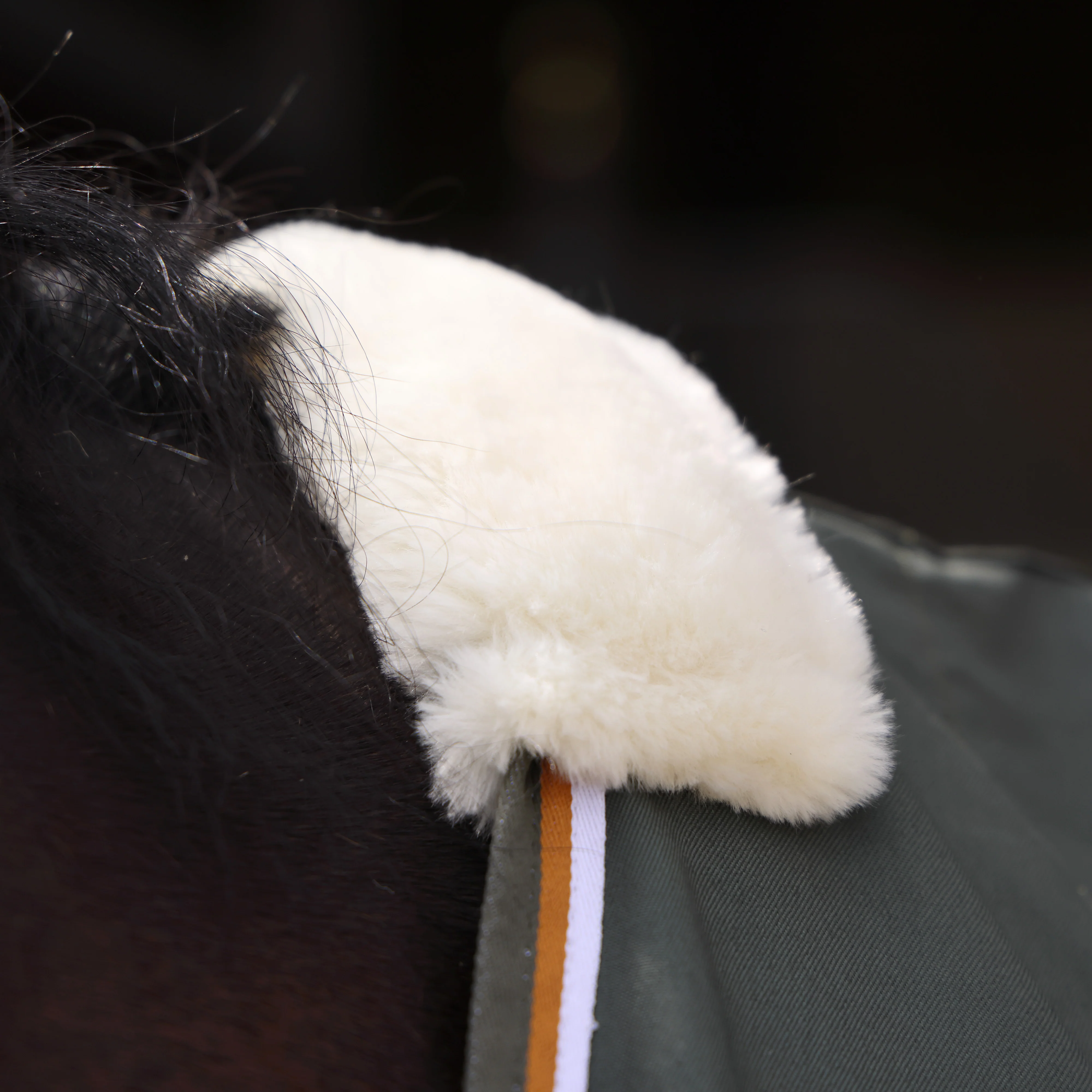 Shires Tempest Original Stable Sheet - Image 17