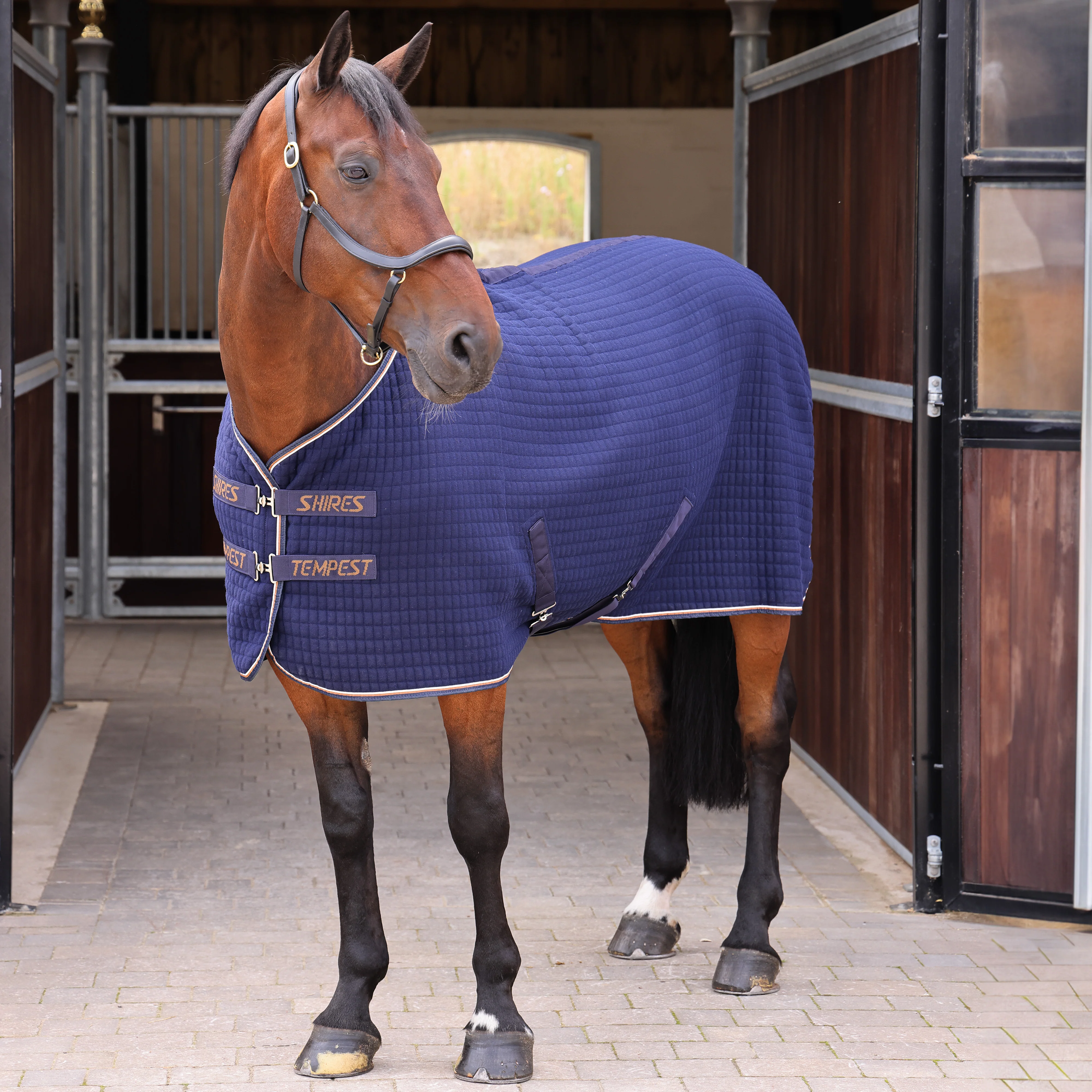 Shires Tempest Original Tech Cooler Rug - Image 6