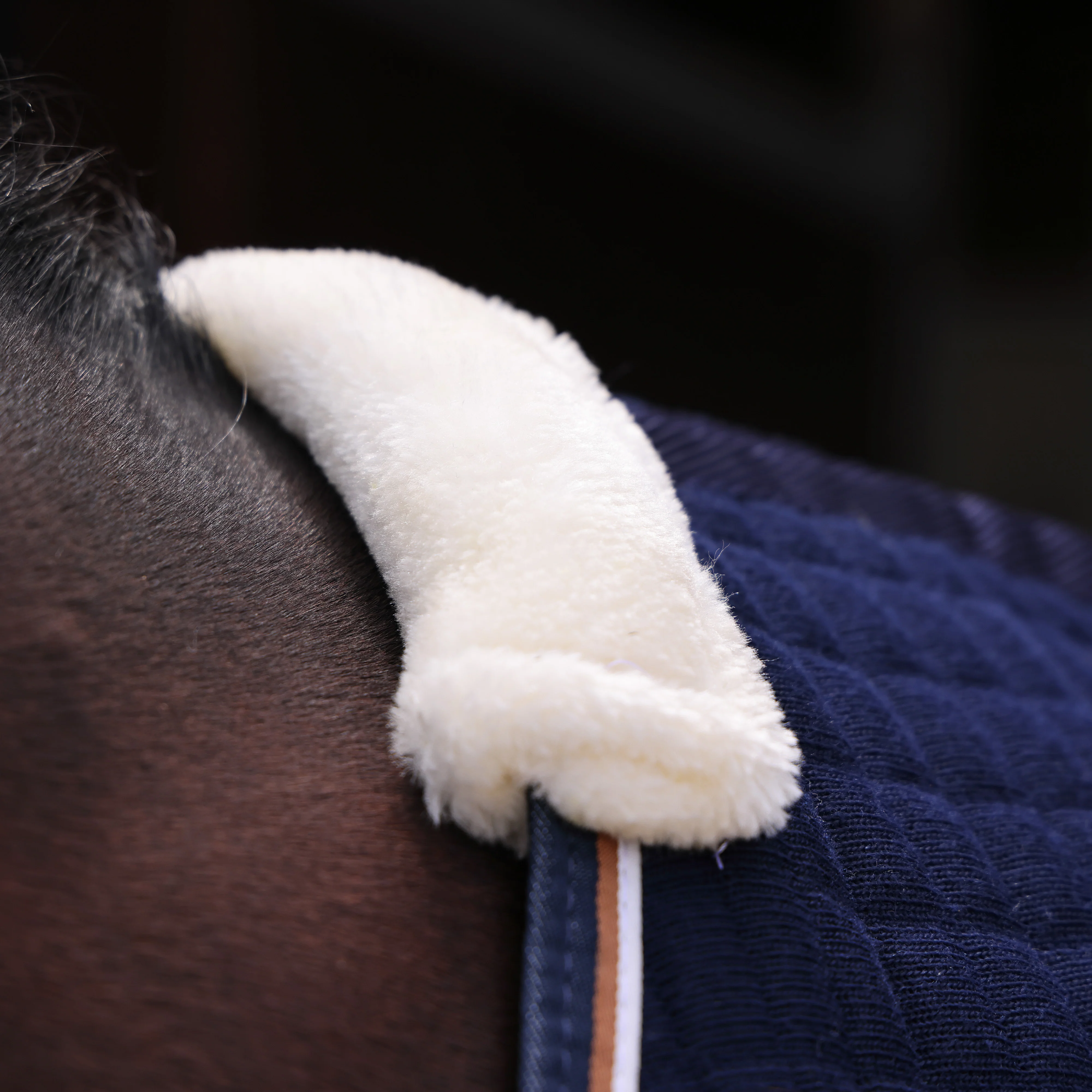 Shires Tempest Original Tech Cooler Rug - Image 7