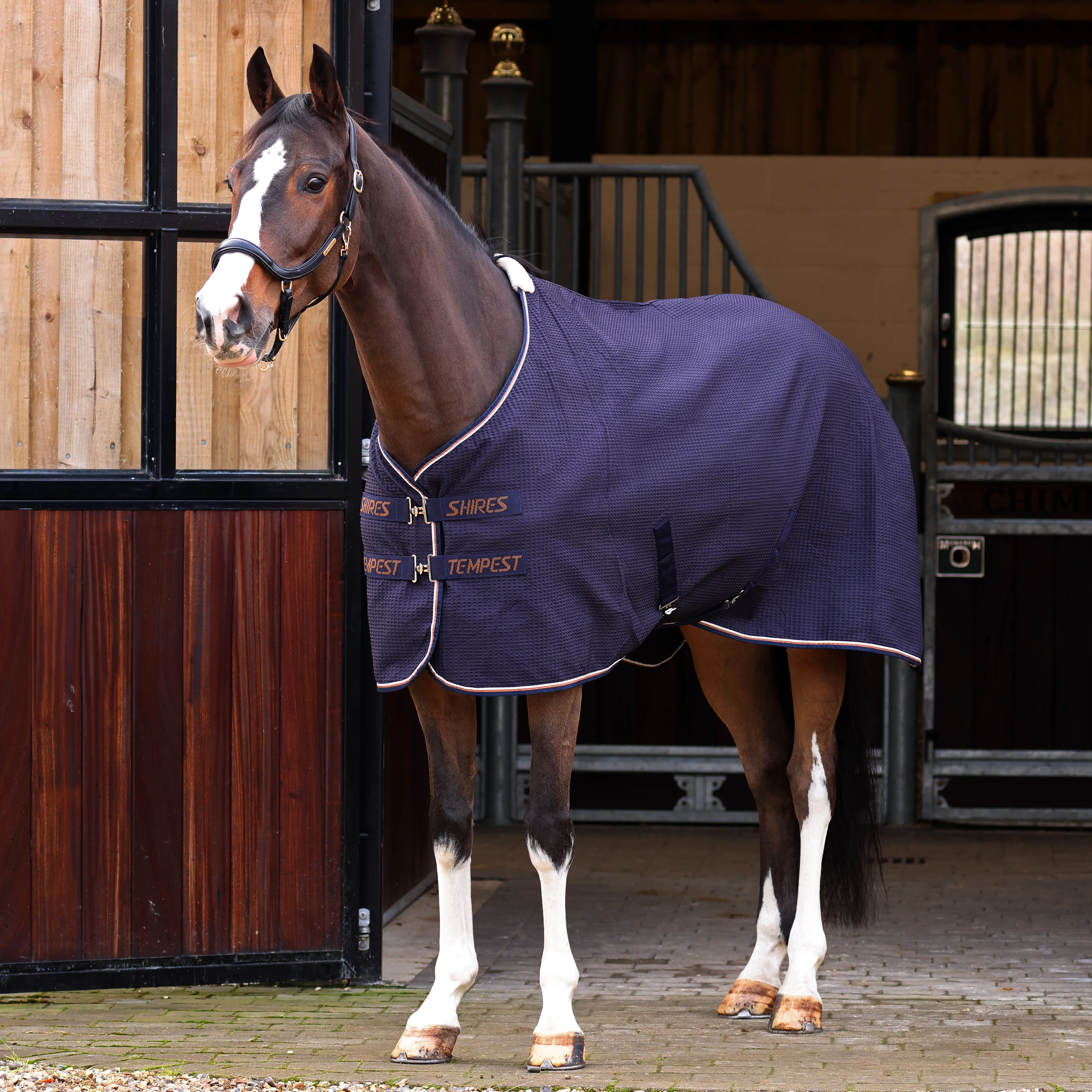 Shires Tempest Original Waffle Rug