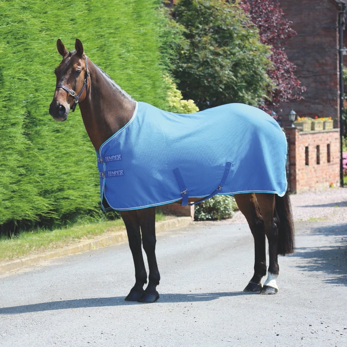 Shires Tempest Original Waffle Rug - Image 6