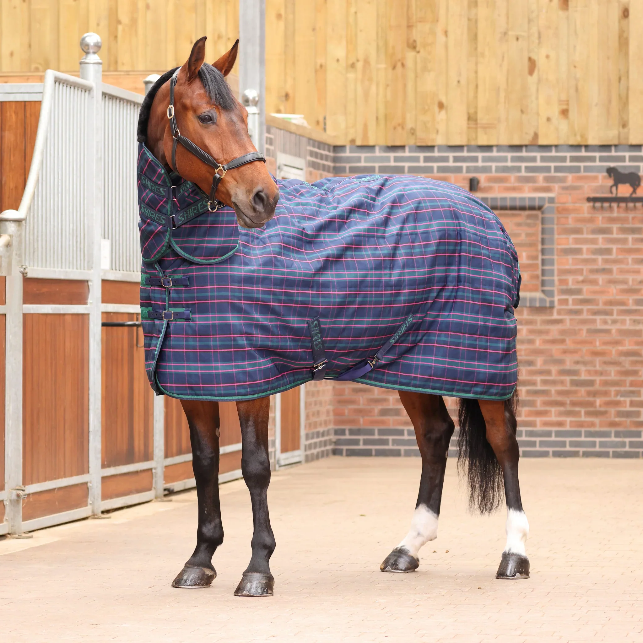 Shires Tempest Plus 100g Stable Combo - Image 3