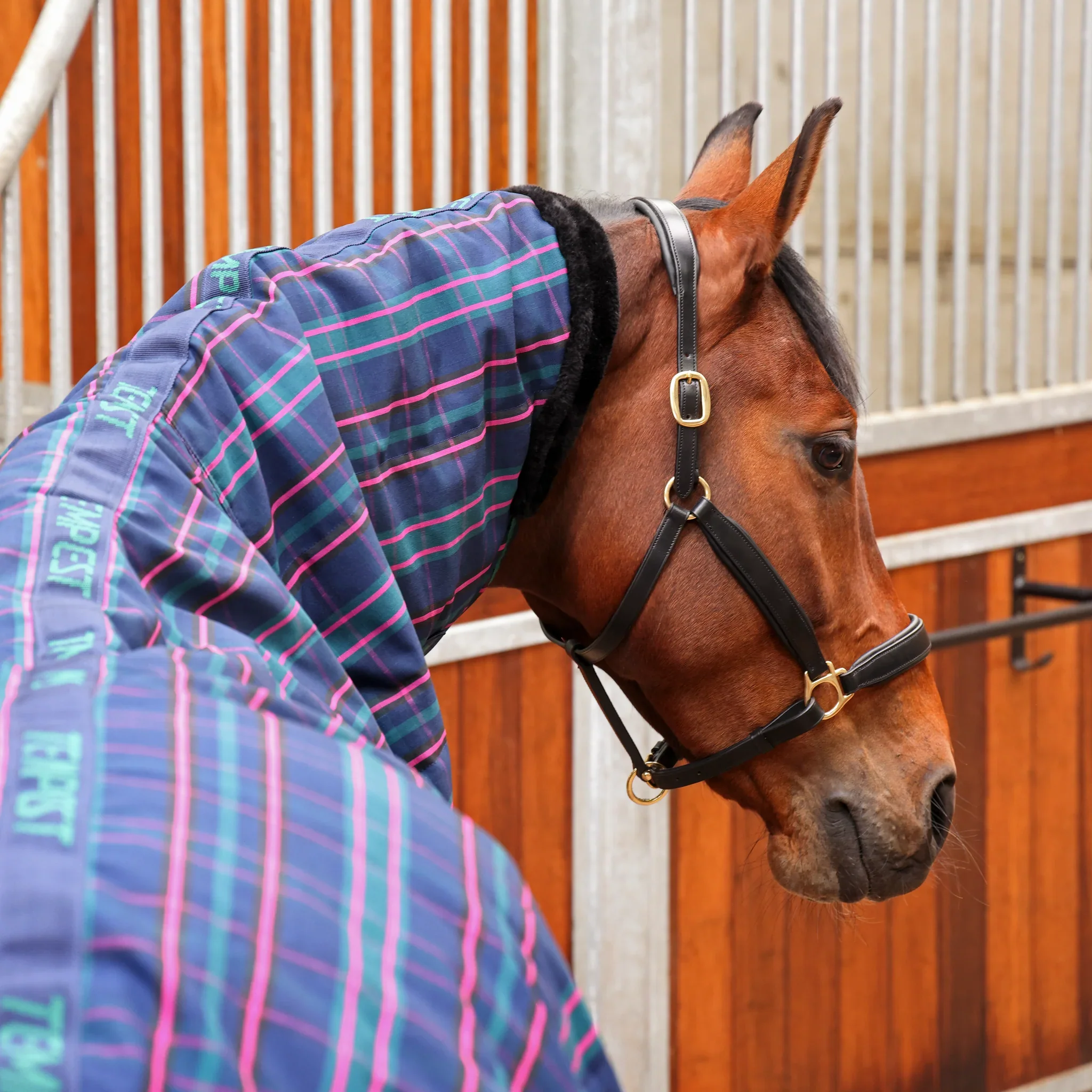 Shires Tempest Plus 100g Stable Combo - Image 4