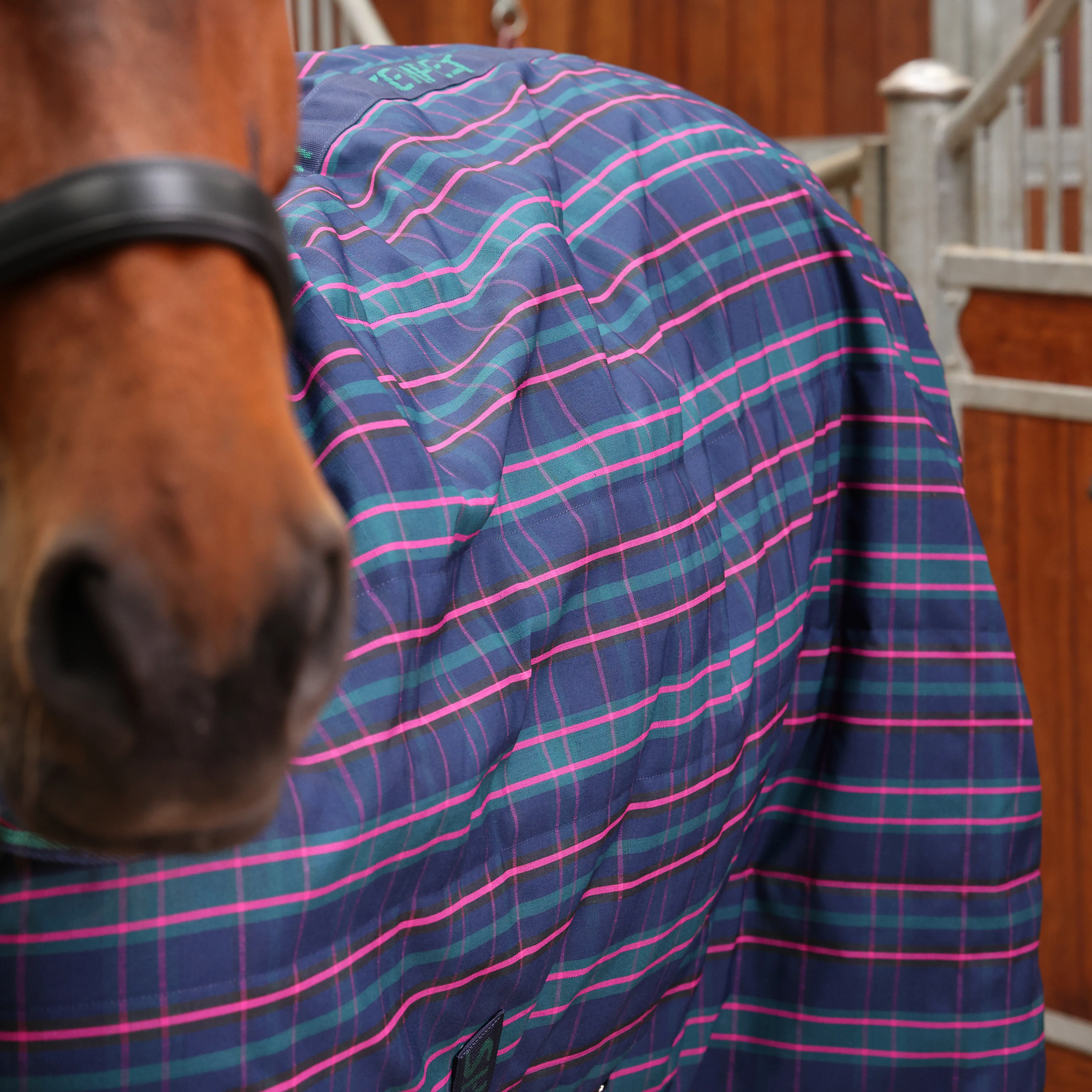 Shires Tempest Plus 100g Stable Combo - Image 7