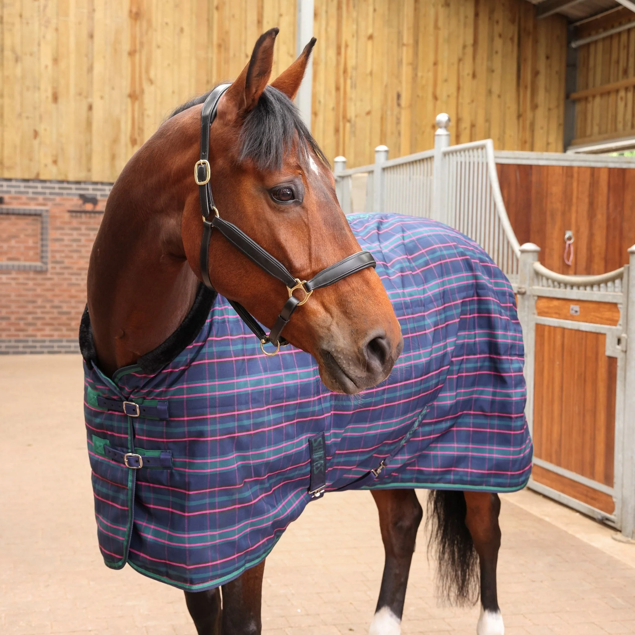 Shires Tempest Plus 100g Stable Rug - Image 2
