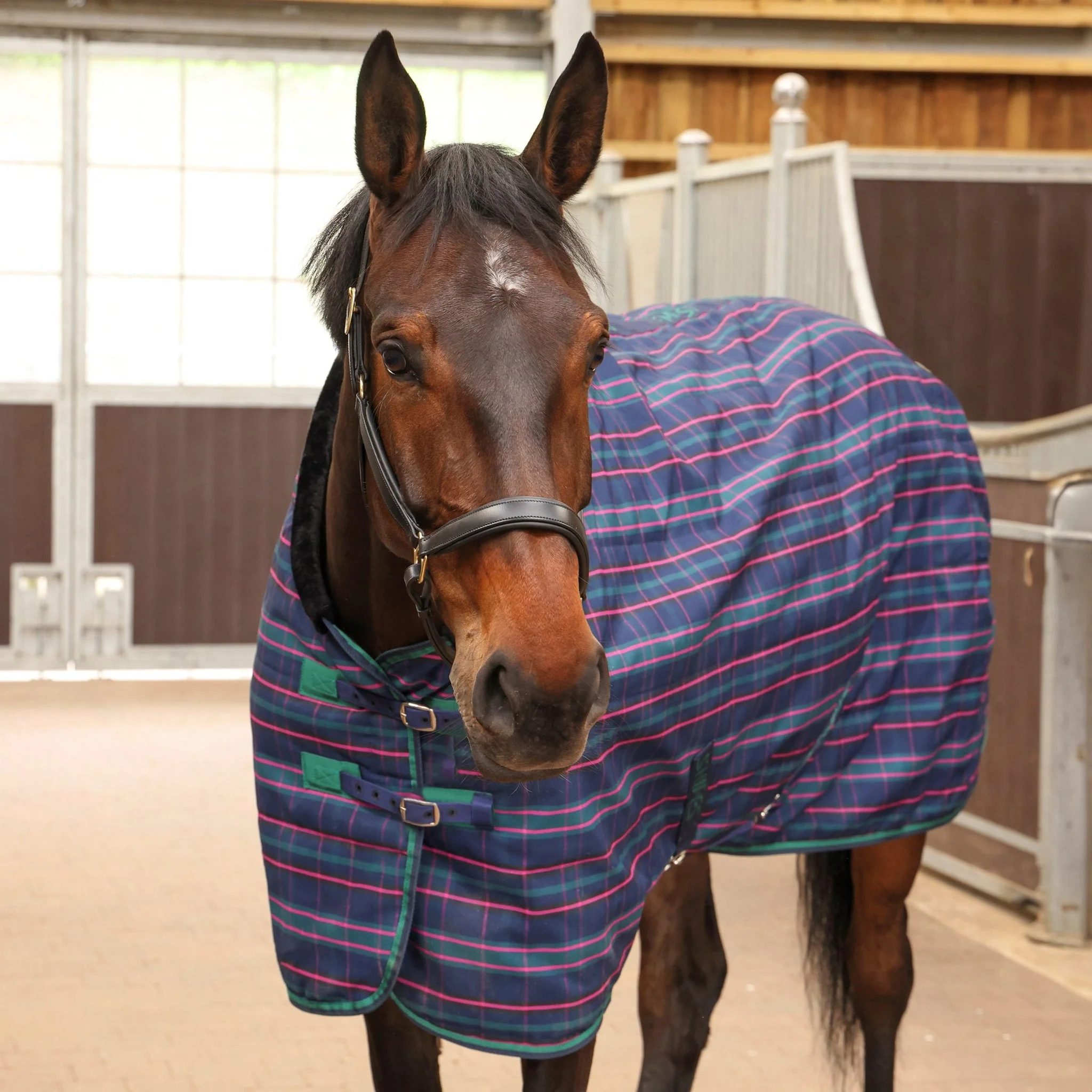 Shires Tempest Plus 100g Stable Rug - Image 3
