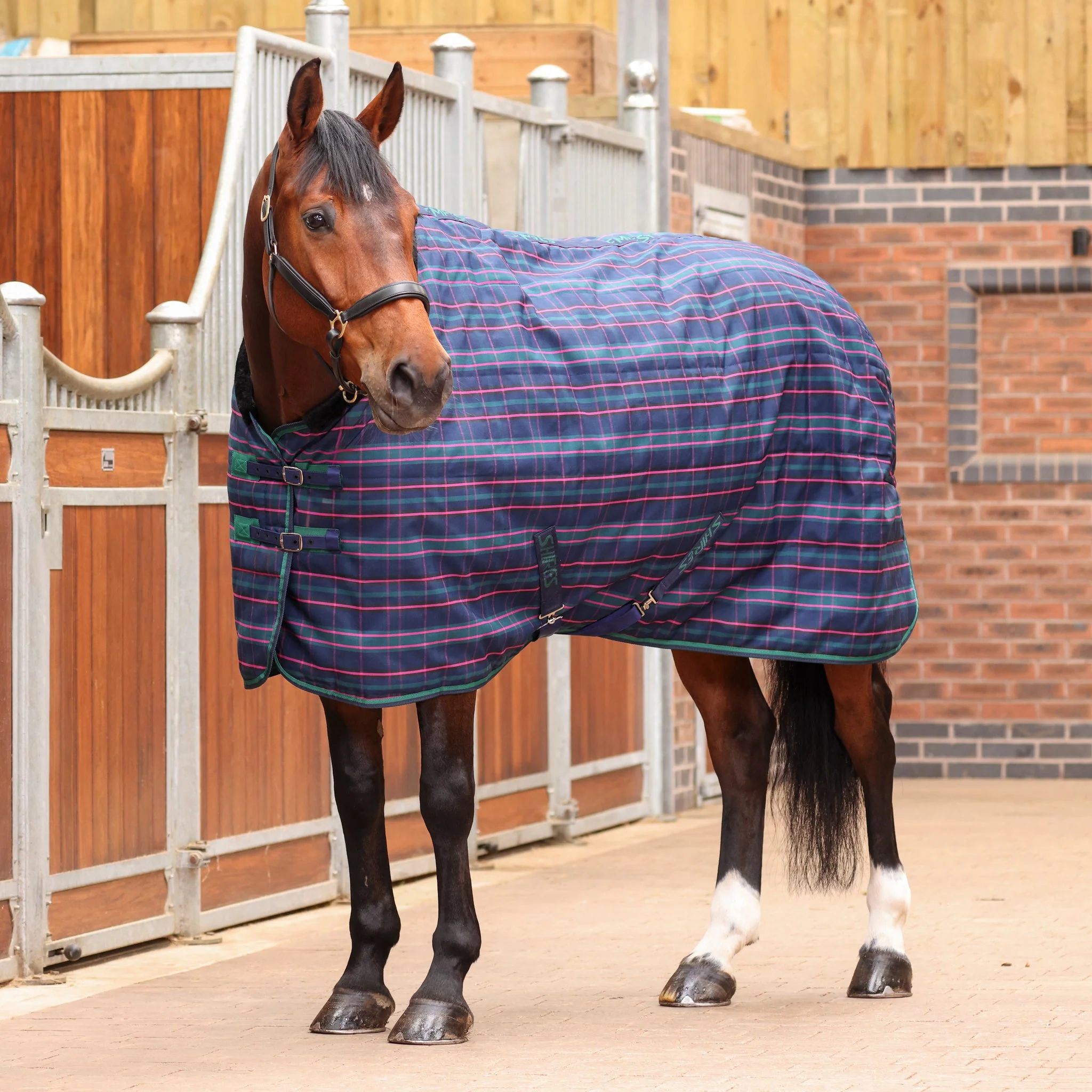 Shires Tempest Plus 100g Stable Rug - Image 4