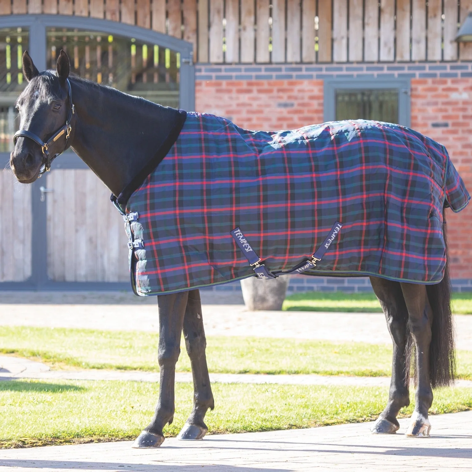 Shires Tempest Plus 100g Stable Rug - Image 7