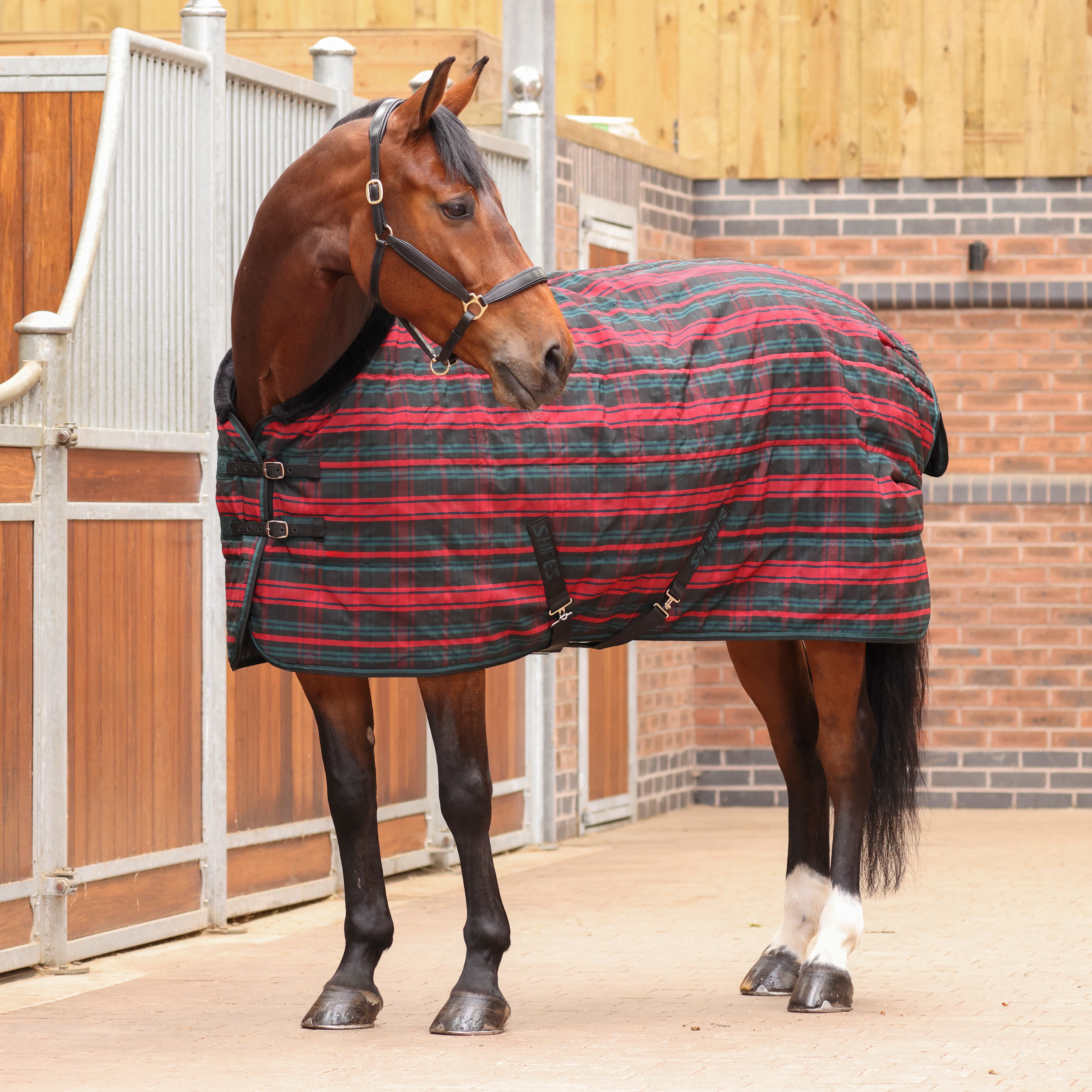 Shires Tempest Plus 200g Stable Rug - Image 2