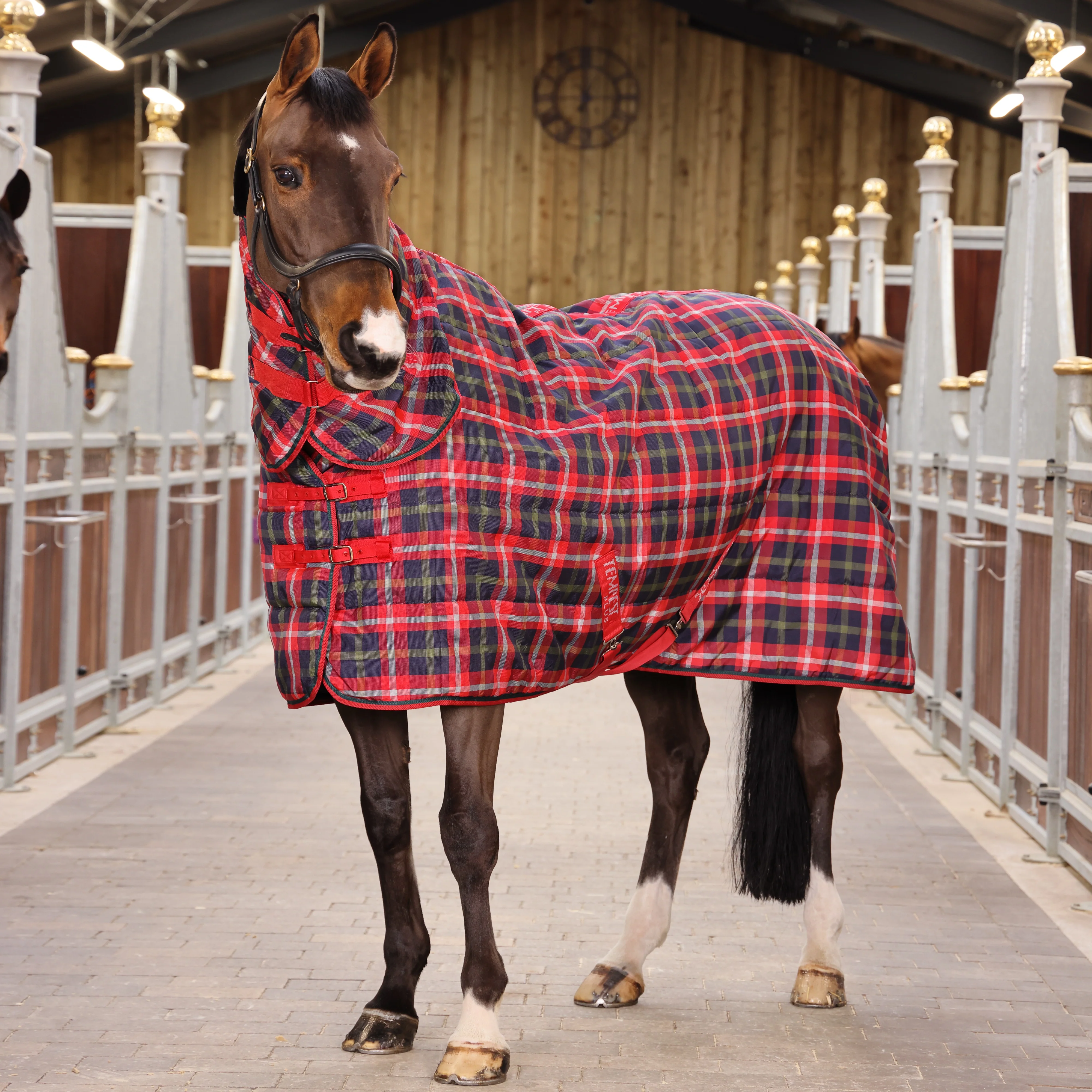 Tempest Plus 200g Stable Combo Rug