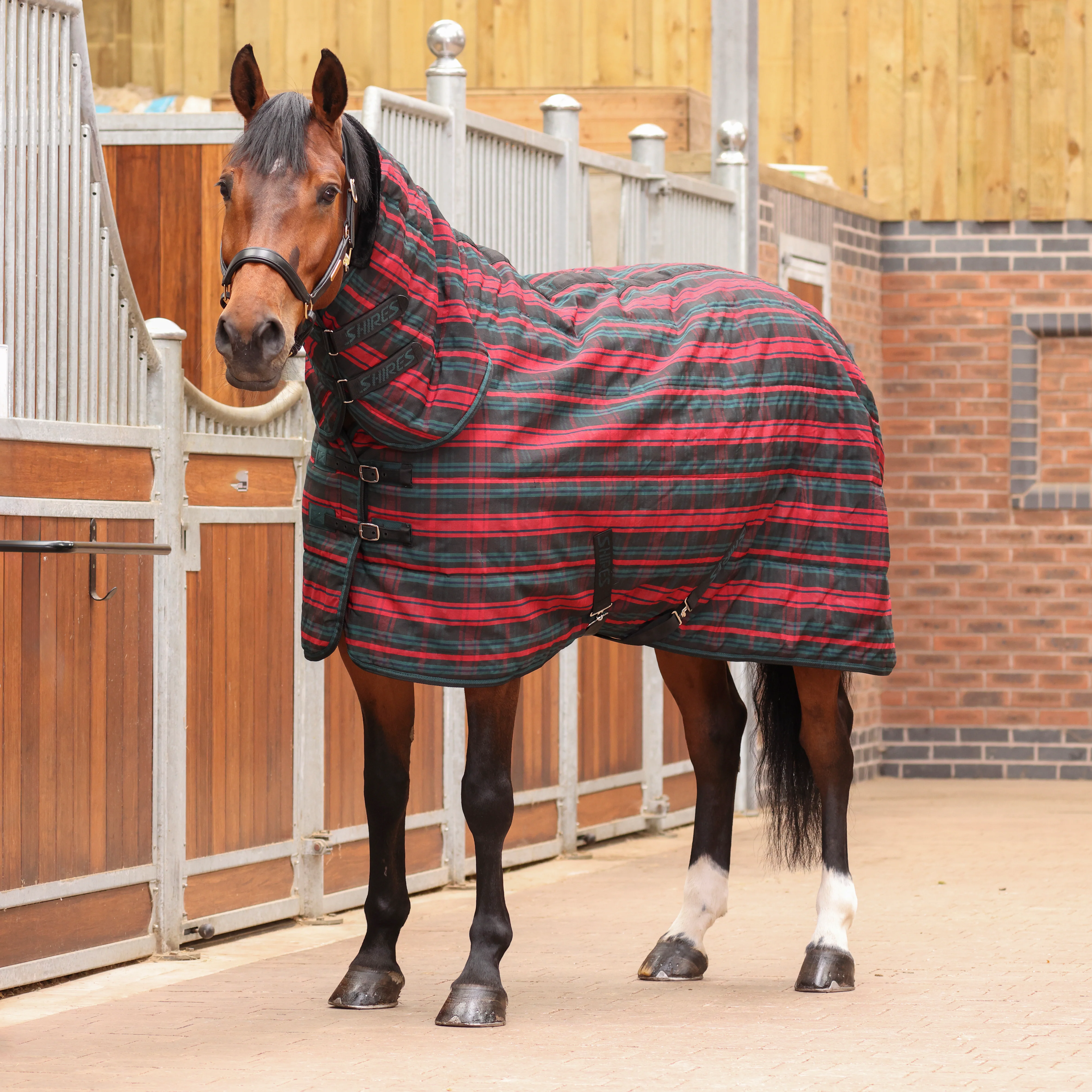 Tempest Plus 200g Stable Combo Rug - Image 2