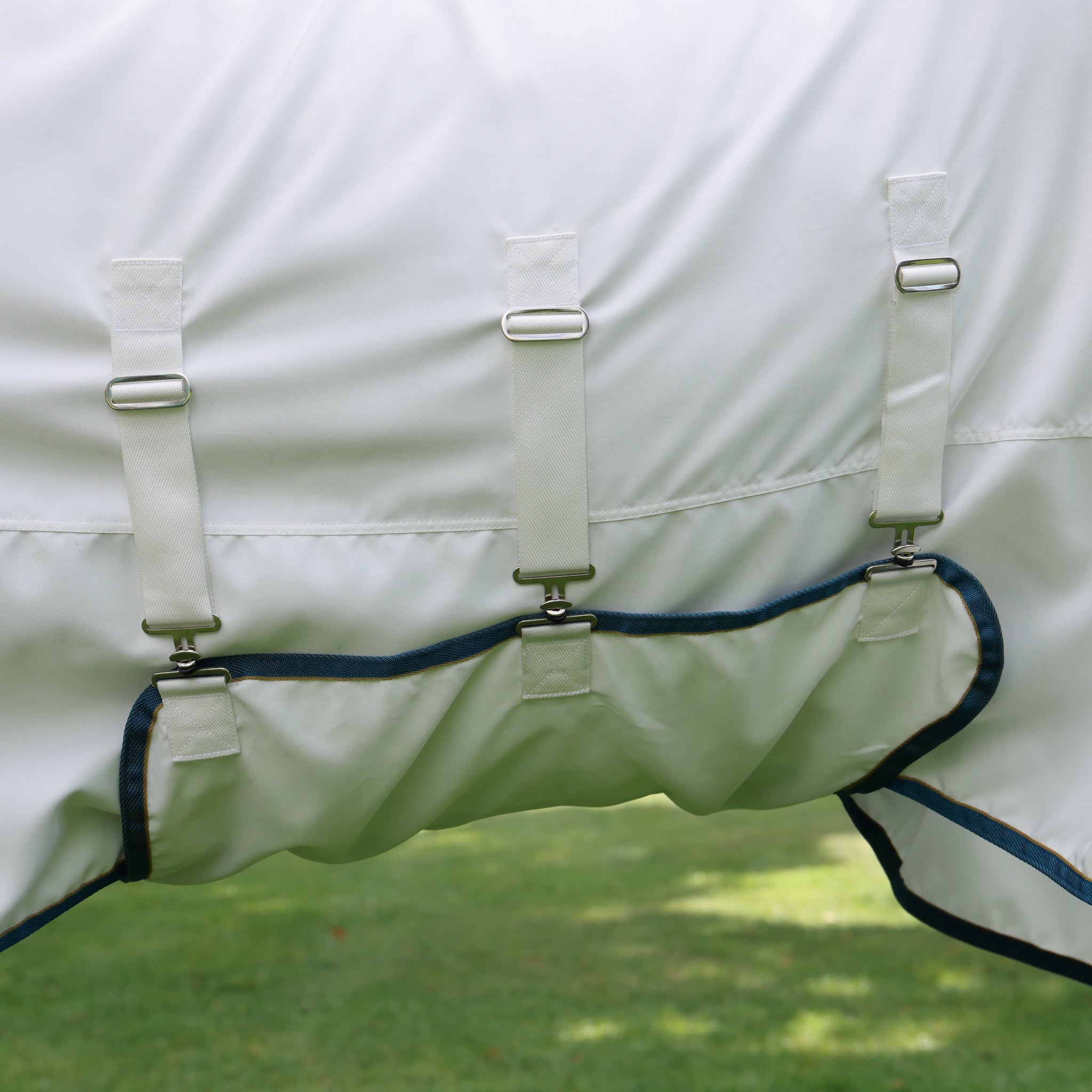 Shires Tempest Plus Sweet-Itch Combo Rug - Image 4