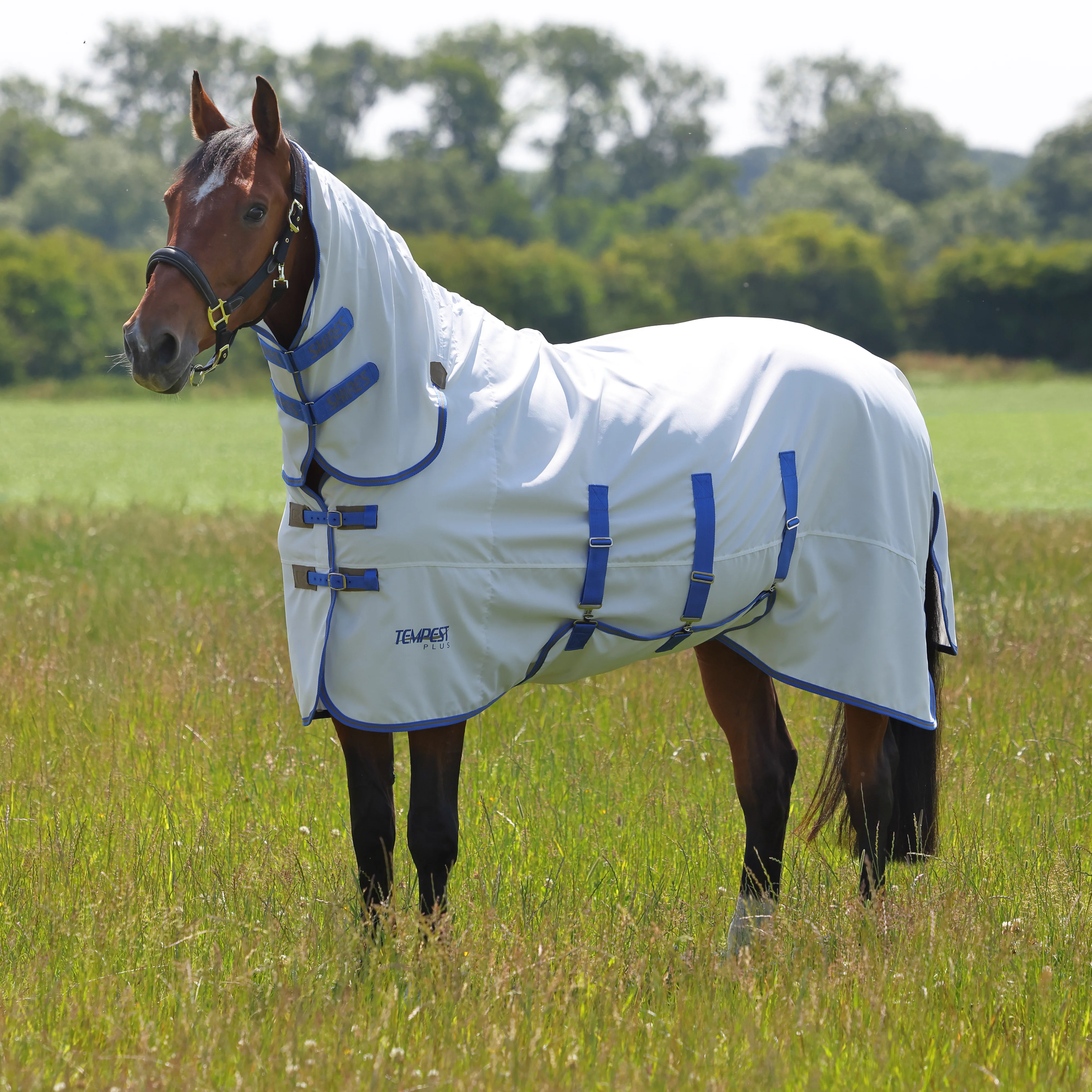 Shires Tempest Plus Sweet-Itch Combo Rug - Image 6