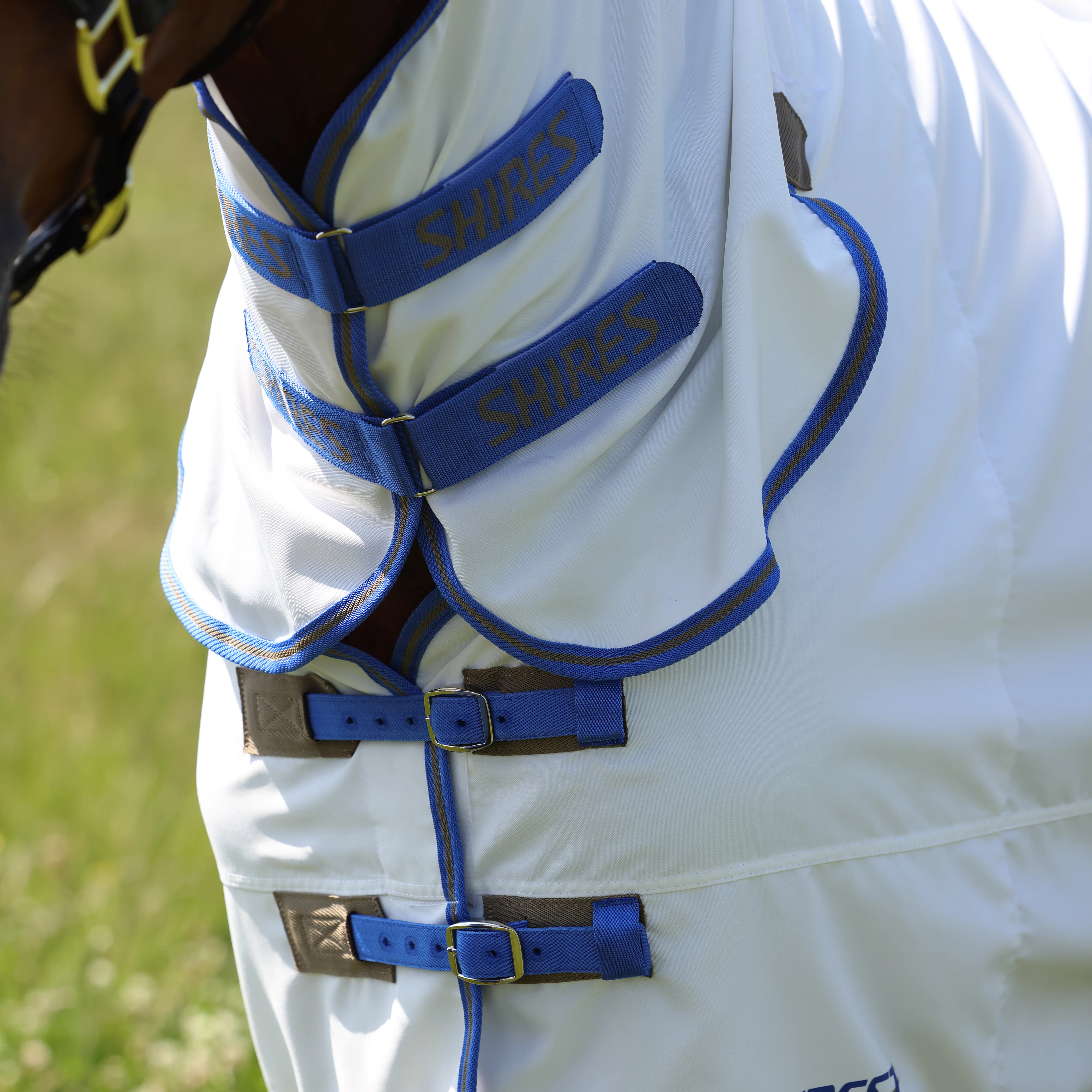 Shires Tempest Plus Sweet-Itch Combo Rug - Image 7