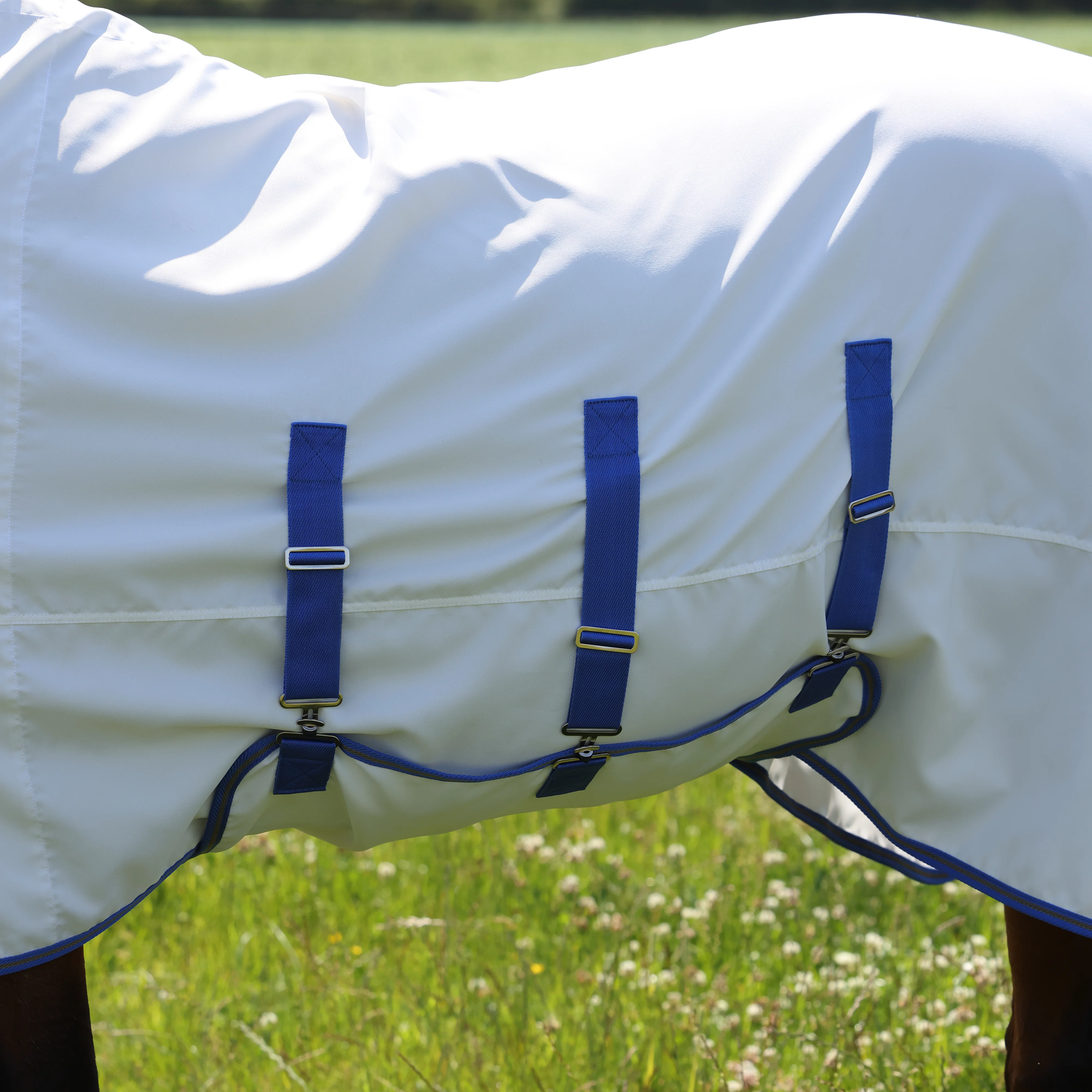 Shires Tempest Plus Sweet-Itch Combo Rug - Image 8