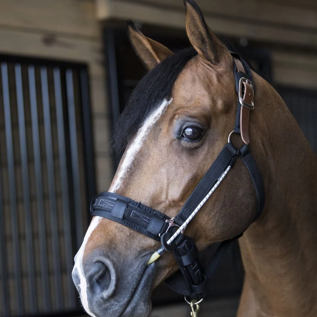 ThinLine Busy Buddy Halter - Image 2