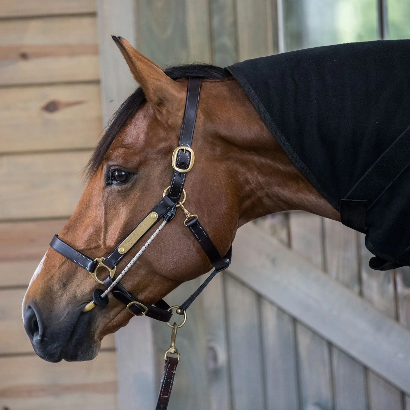ThinLine Busy Buddy Halter - Image 3