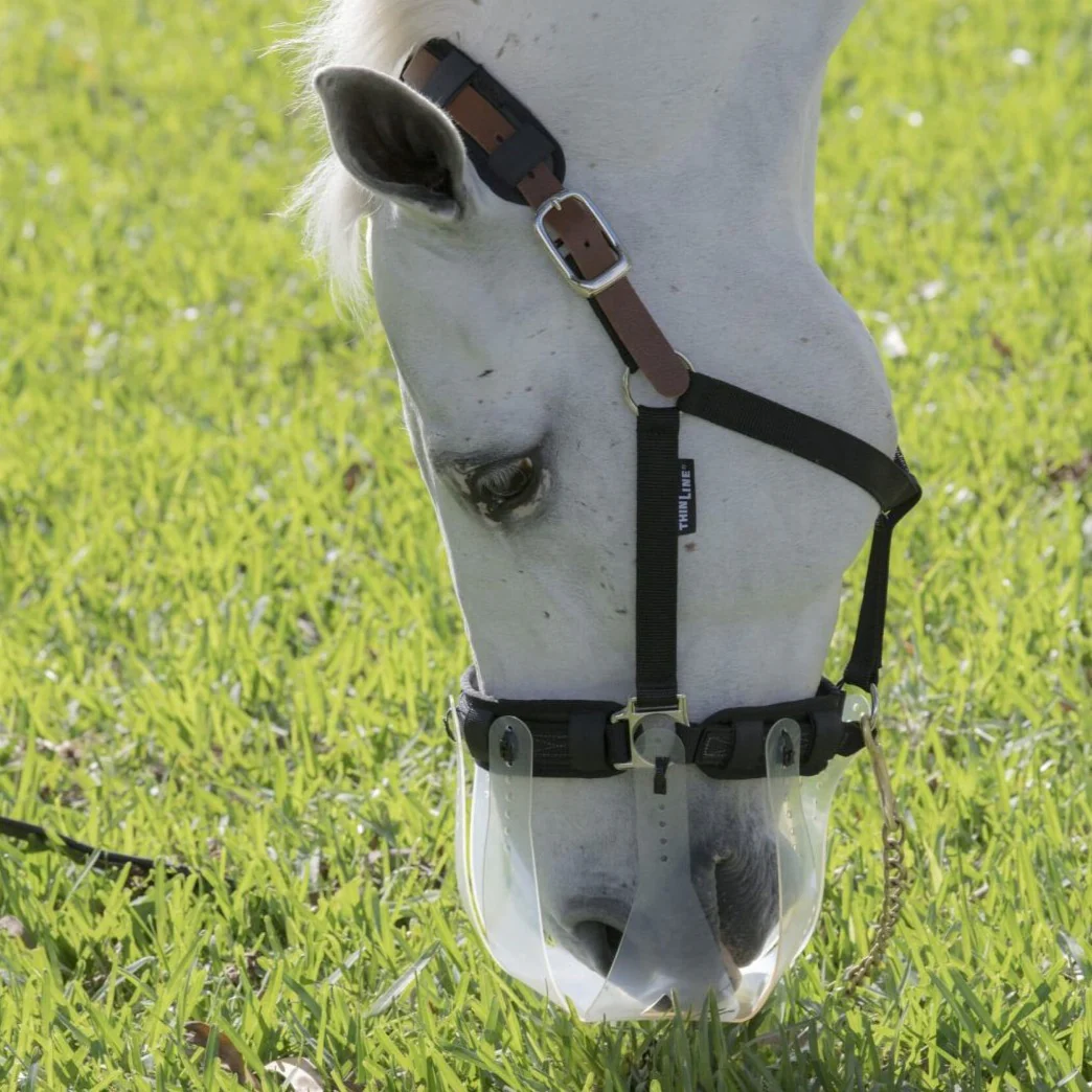 ThinLine Flexible Breakaway Field Safe Headcollar - Image 2
