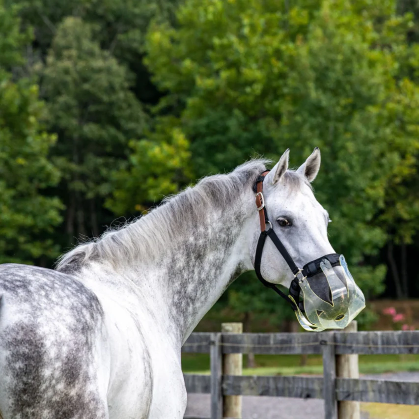 ThinLine Flexible Filly Grazing Muzzle - Image 5