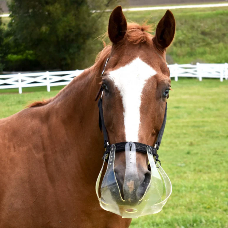 ThinLine Flexible Filly Grazing Muzzle - Image 7