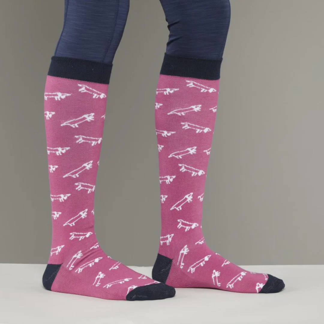 Toggi Canine 2 Pack Socks - Image 3