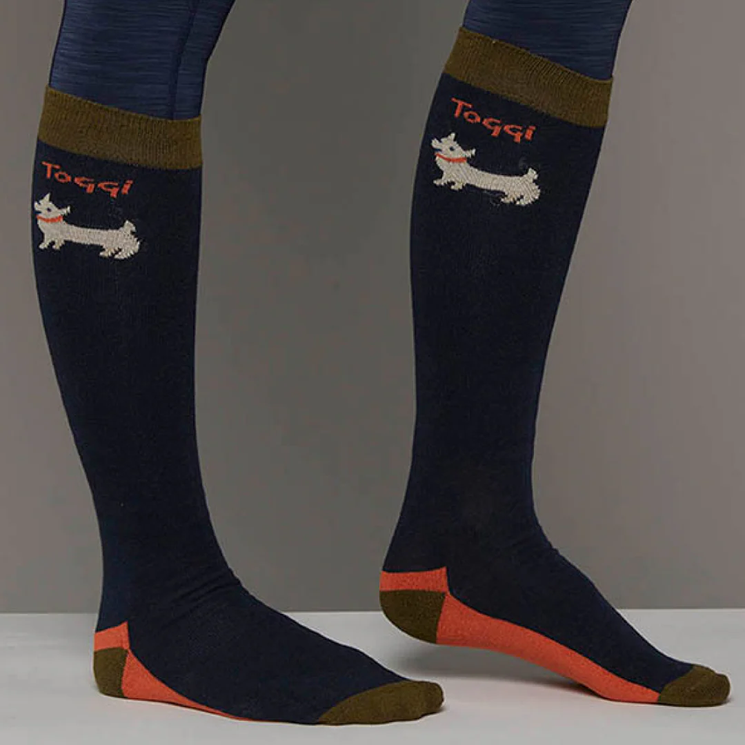 Toggi Fido Ladies Socks - Image 4
