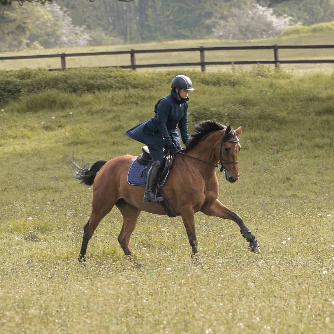 Toggi Griffiths Long Riding Coat - Image 13