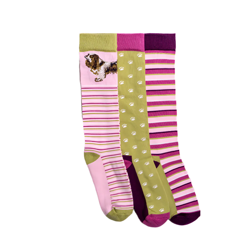 Toggi Spaniel Socks 3 Pack