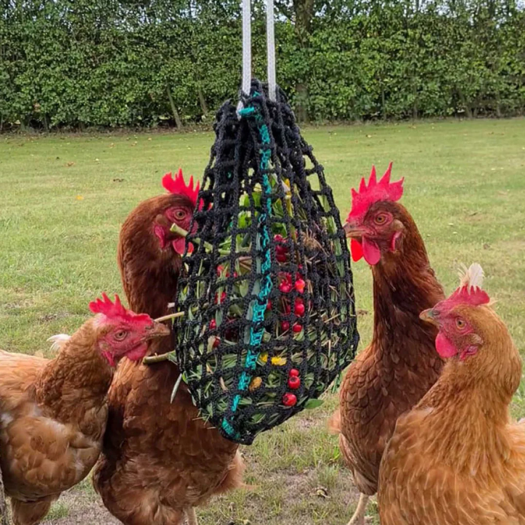 Trickle Net Chirpy Chook Meadow Net - Image 2