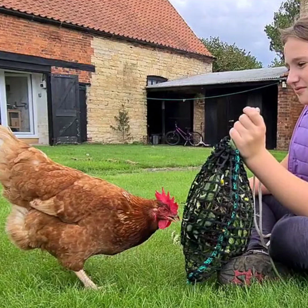 Trickle Net Chirpy Chook Meadow Net - Image 3