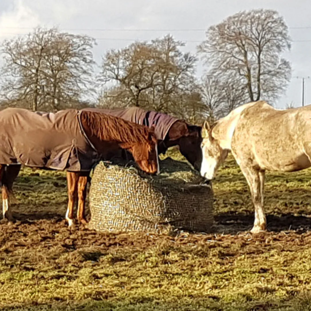 Trickle Net Round Bale Net - Image 3