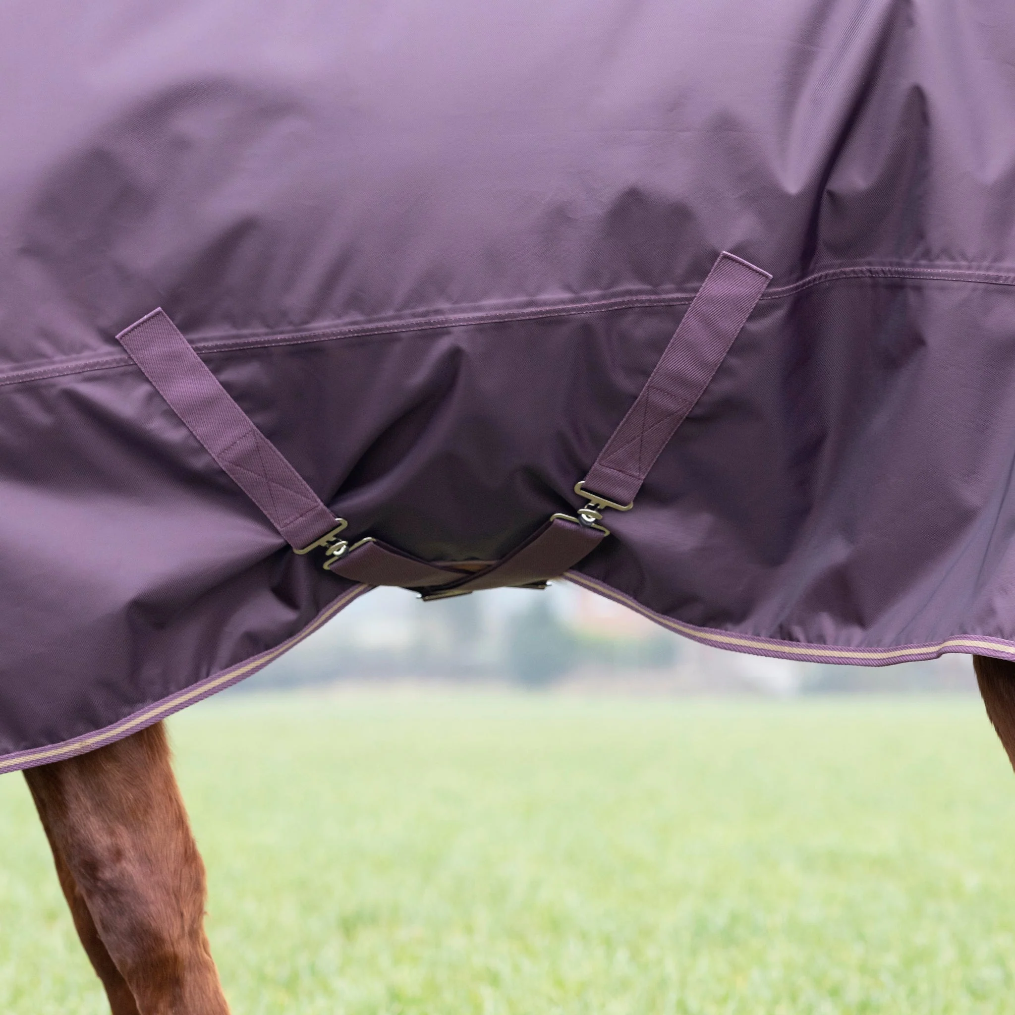 Shires Typhoon 100g Turnout Rug - Image 5