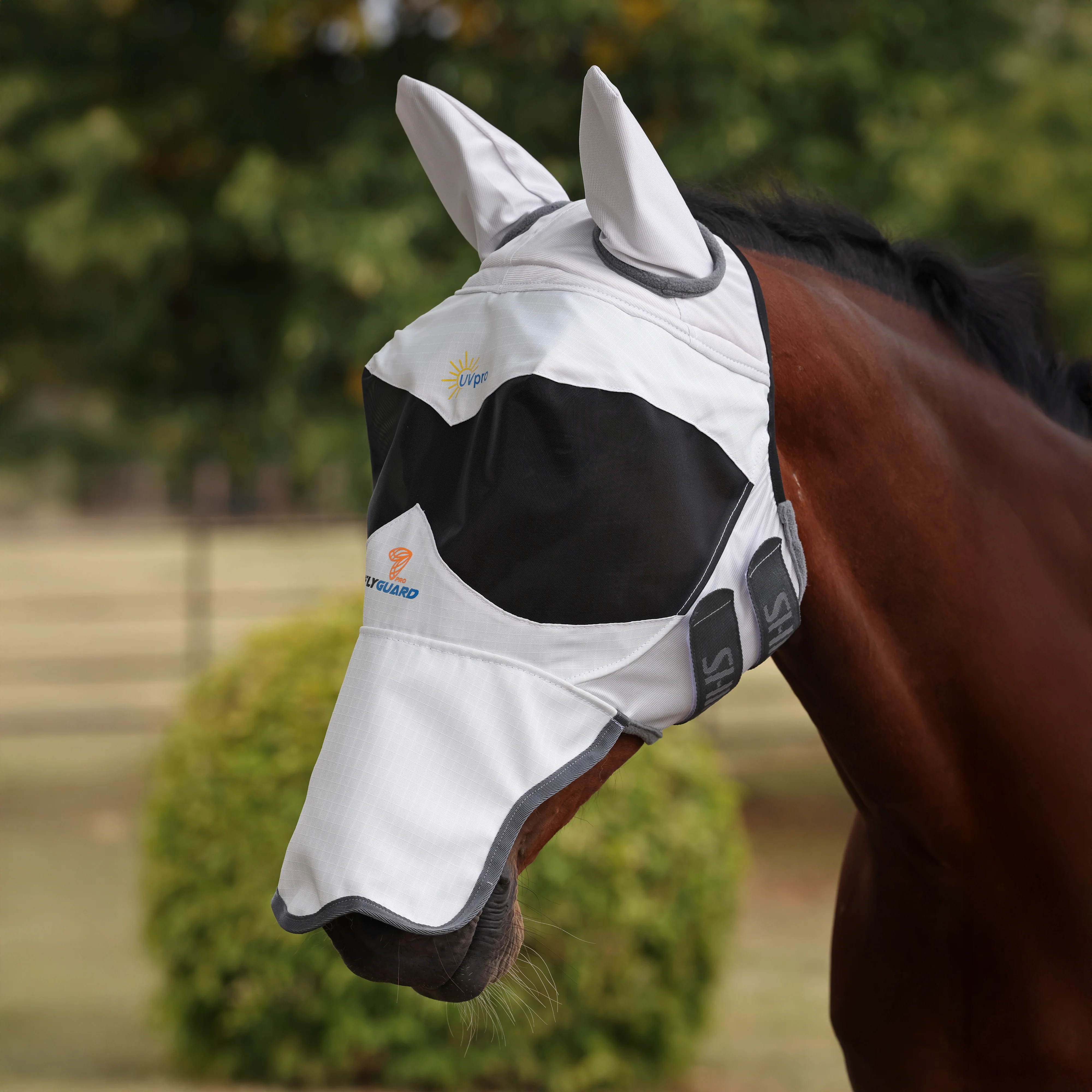 Shires FlyGuard Pro Sun Shade Fly Mask - Image 2