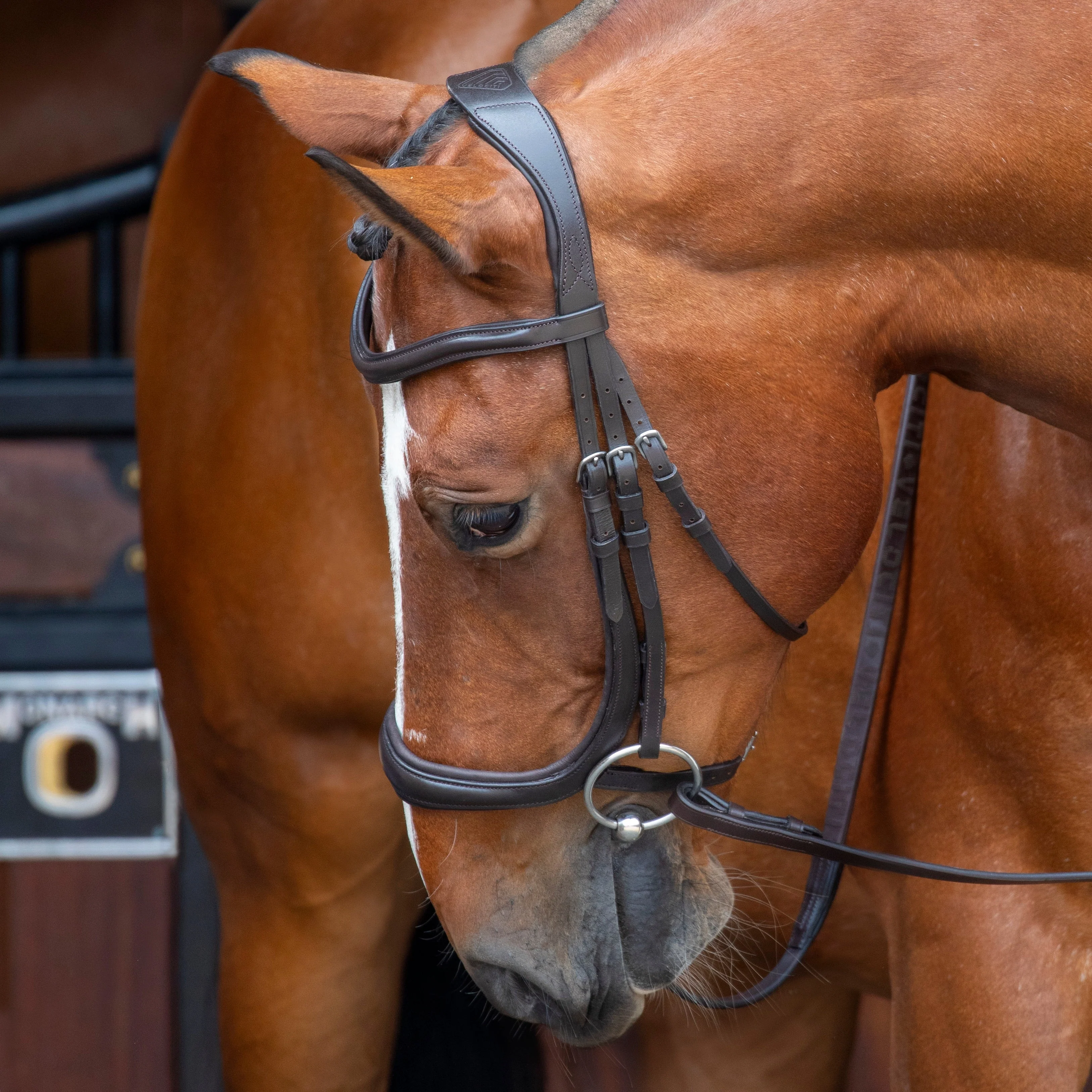 Shires Velociti RAPIDA Ergonomic Curved Cavesson Bridle - Image 3