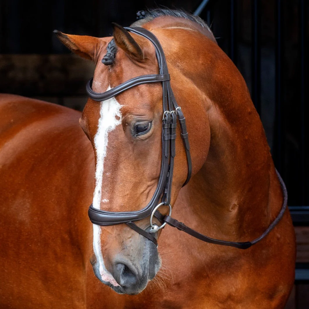 Shires Velociti RAPIDA Ergonomic Curved Flash Bridle - Image 3