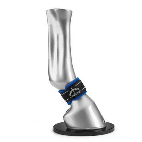 Veredus Magnetik Pro Pastern Wraps - Image 2