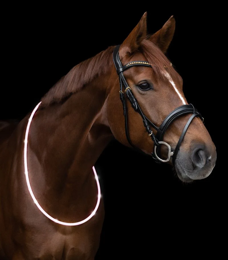 Waldhasuen LED Neck Strap