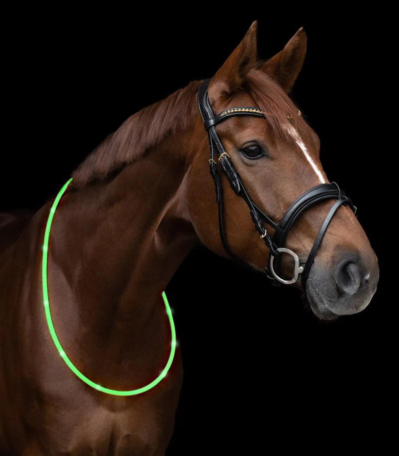 Waldhasuen LED Neck Strap - Image 2