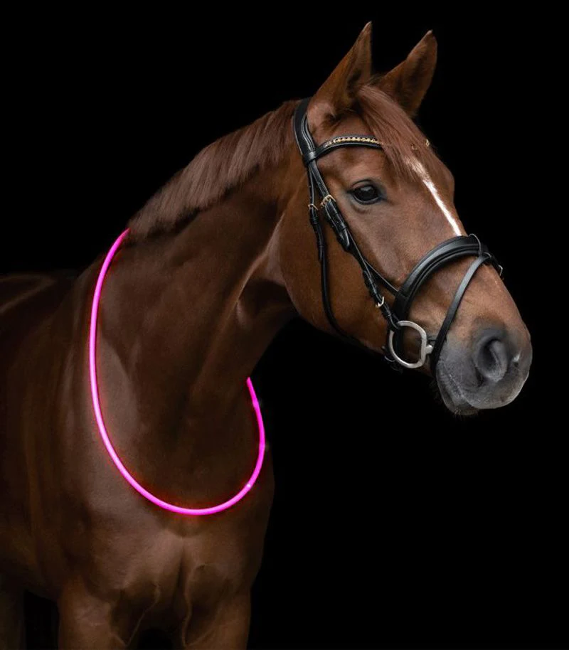 Waldhasuen LED Neck Strap - Image 3