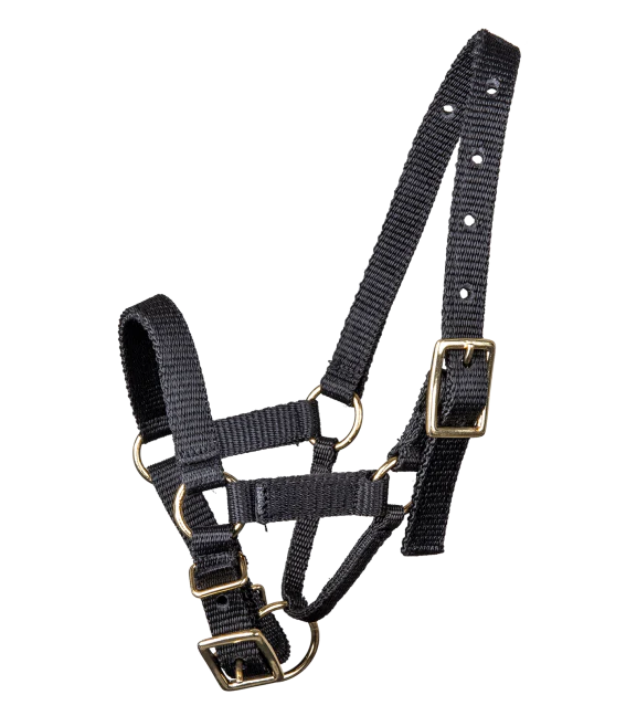 Waldhausen Alpaca Halter