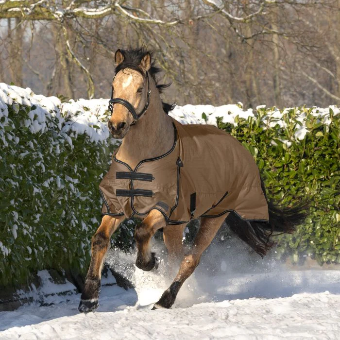 Waldhausen Arctic 100g Turnout Rug - Image 13