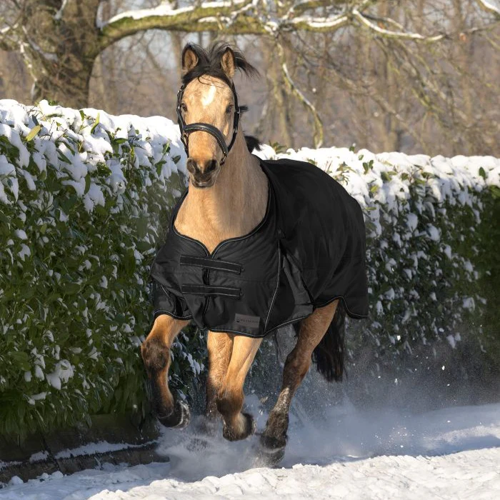 Waldhausen Arctic 100g Turnout Rug - Image 3