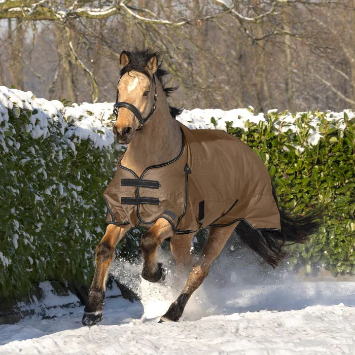 Waldhausen Arctic 200g Turnout Rug - Image 13