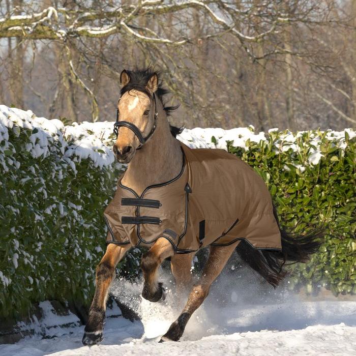 Waldhausen Arctic 50g Turnout Rug - Image 13
