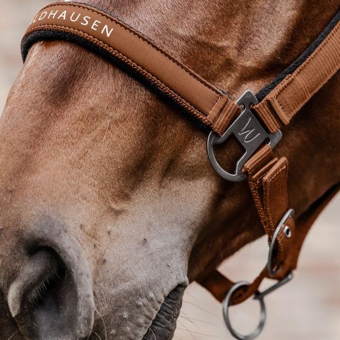 Waldhausen Athletic Halter - Image 12