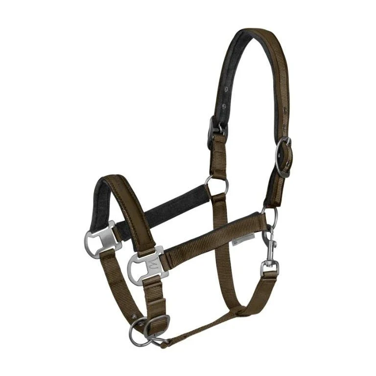 Waldhausen Athletic Halter - Image 13