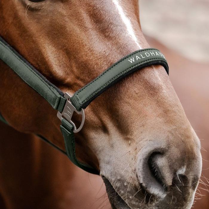 Waldhausen Athletic Halter - Image 9