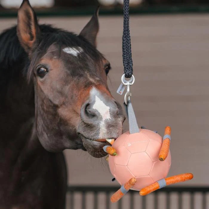 Waldhausen Carrot Ball - Image 2